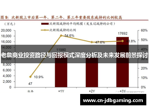 老詹商业投资路径与回报模式深度分析及未来发展前景探讨